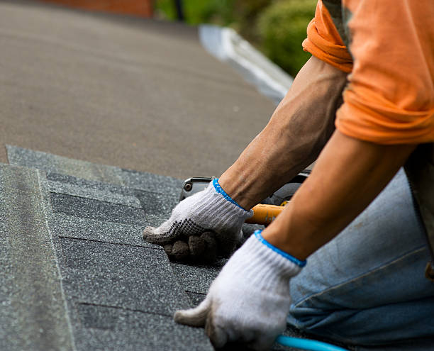 Best Storm Damage Roof Repair  in Gilbertsville, PA